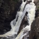 Fiona_and_floyd - @fiona_and_floyd - Instagram