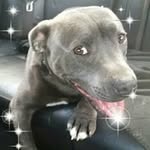 Fiona Floyd - @floydfiona - Instagram