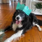 Fiona_Floyd - @fiona_floyd254 - Instagram