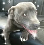 Fiona Floyd - Facebook