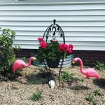 Floyd_&_Fiona - @floyd_and_fiona - Instagram