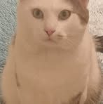 Floyd Fiona - Facebook
