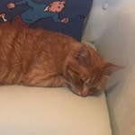 Fiona Freeman - @fiona.freeman.50702 - Instagram