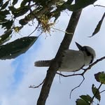 Fiona Fuller - @fionafuller44 - Instagram