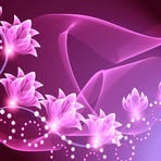 Fiona Gates - Facebook