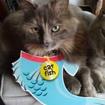 Fiona Gentry - Facebook