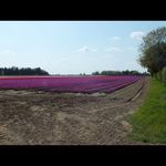 Fiona Gilbert - @fionagilbert70 - Instagram