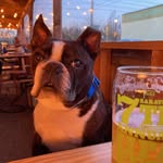 Fiona Murphy Gladden - @whosthatcoolpup - Instagram