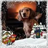 fionagleeson567 - @fionagleeson567 - TikTok
