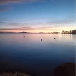 Fiona Doyle Goodman - @fionagoodman100 - Instagram