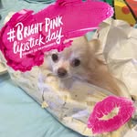 Fiona Goodman - @fiona375742 - Instagram