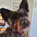 Fi Grice - Facebook
