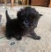 Fiona Griffith - Facebook