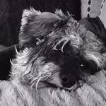 Fiona Griffiths - @fiona.griffiths.908 - Instagram