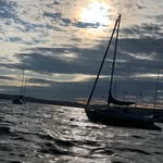 Fiona Gross - @gross_fiona - Instagram