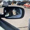 Fiona Haley Johnson - @fiona.haley.johns - TikTok
