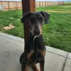 Fifihihi001:) - @fiona.hansen5 - TikTok