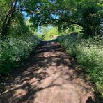 Fiona Harding - Facebook