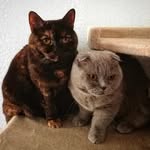 Fiona&Harmony - @fiona.harmony1 - Instagram