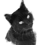 𝗙𝗶𝗼𝗻𝗮 + 𝗛𝗮𝗿𝗽𝗲𝗿 + 𝗛𝗮𝗿𝗹𝗲𝘆 - @the.kitty.fiona - Instagram