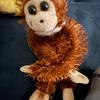 Fiona - @fiona_heaney - TikTok