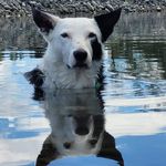 Fiona Heaney - @fionawilton - Instagram