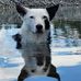 Fiona Heaney - Facebook