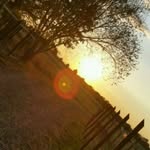 FionaBlume - @fionahessel250 - Instagram