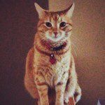 Fifi - @fionahoffman - Instagram