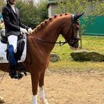Fiona Hoffmann - @fionahoffmann_fgc - Instagram