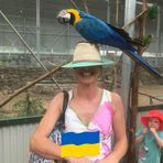 Fiona Holmes - Facebook