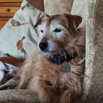 Fiona Houseman - @housemanfiona - Instagram