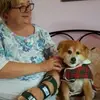 Fiona Hull - @fifi69060 - TikTok