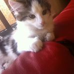 Fiona Hurst - Facebook