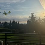Fiona Hurst - @fiona_feeling_great - Instagram