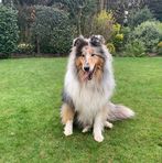 Fiona Hyde - Facebook