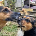 Fiona Ingram - Facebook