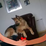 Fiona Innes - Facebook