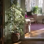 Fiona Jane Innes - @fionajaneinnes - Instagram