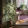 Fiona Jane Innes - @fioninnes - TikTok