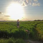 Fiona Joyce - @fiona.joyce.792 - Instagram