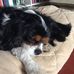 Fiona Kaye - Facebook