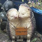 Fiona Kerr - Facebook