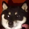 Fiona Kim  - @fionakim1972 - TikTok