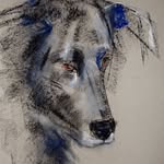 Fiona Knox - @mistysartforanimals - Instagram