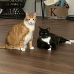Fiona Kramer - @fiona_kramer - Instagram