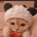 Fiona Lai - @fionalail - Instagram