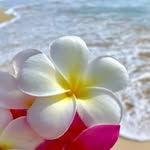 Fiona Lai - @fionalai44 - Instagram