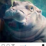 Fiona Larkin - @phone.bone - Instagram