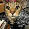 fionalarkin119 - @fionalarkin119 - TikTok
